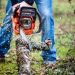Top 5 Best Chainsaws in the Market