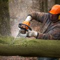 A logger using a professional chainsaw to cut up a tree trunk