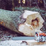 A chainsaw beside a log ready for splitting