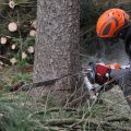 Tree logger with chainsaw accessories and tools