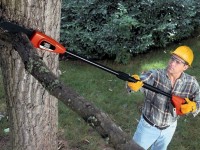 Best Pole Saw Reviews: The Winning Pole Saws