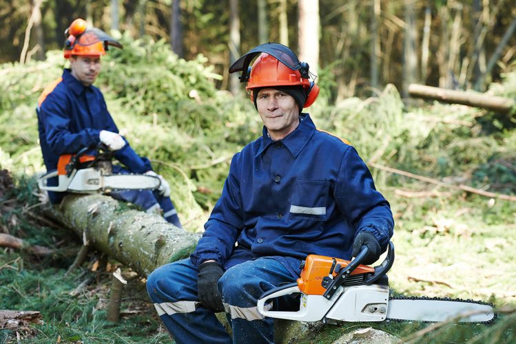 Two forestry workers wearing the best chainsaw helmet for protection